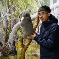 38145697438ecac011d353bc558052e6